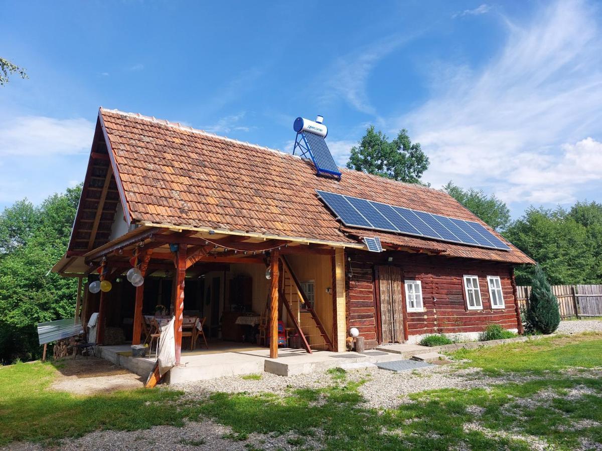 Cabana Casa Lu'Baciu Arpaşu de Sus Dış mekan fotoğraf