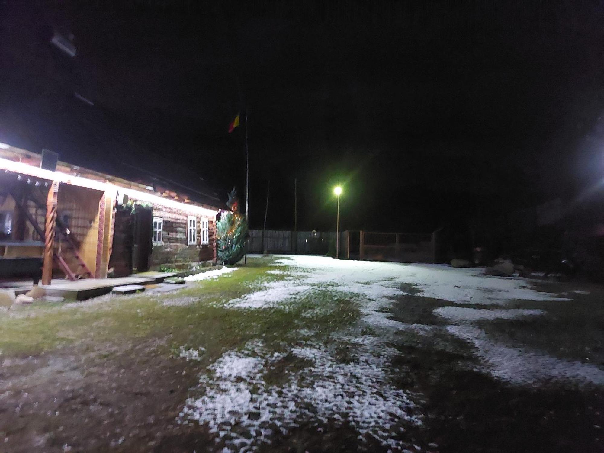 Cabana Casa Lu'Baciu Arpaşu de Sus Dış mekan fotoğraf