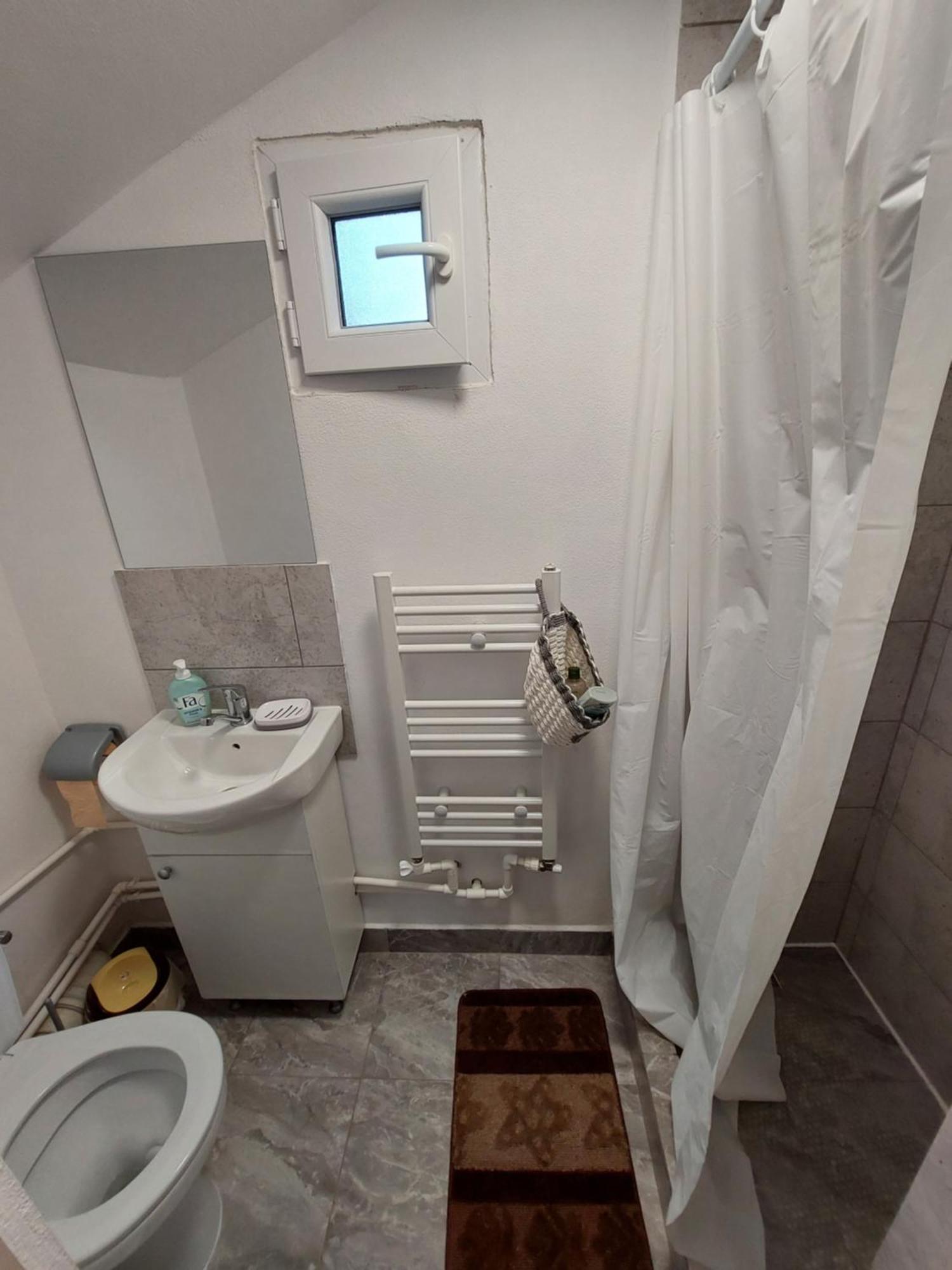 Cabana Casa Lu'Baciu Arpaşu de Sus Dış mekan fotoğraf