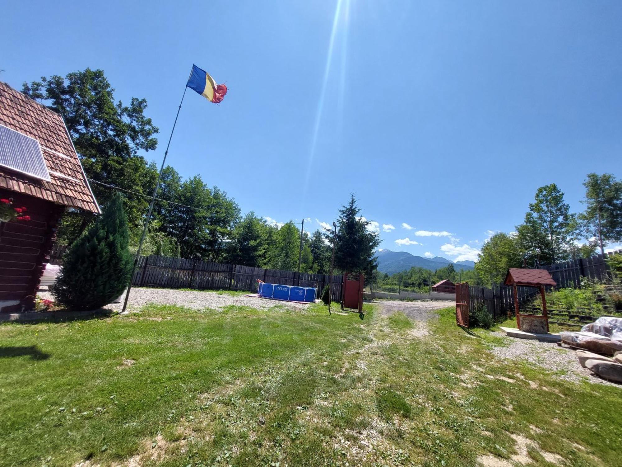 Cabana Casa Lu'Baciu Arpaşu de Sus Dış mekan fotoğraf